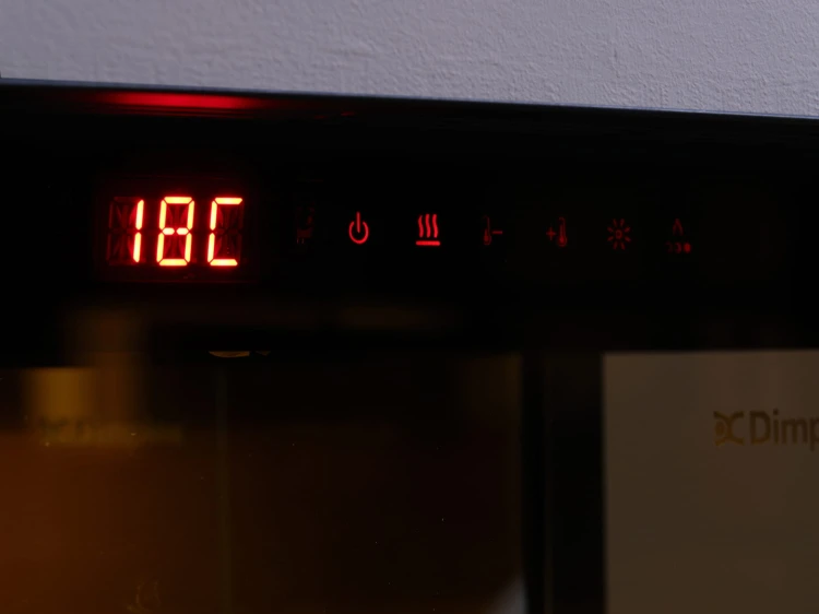 Wkład kominkowy elektryczny DIMPLEX Ignite Evolve